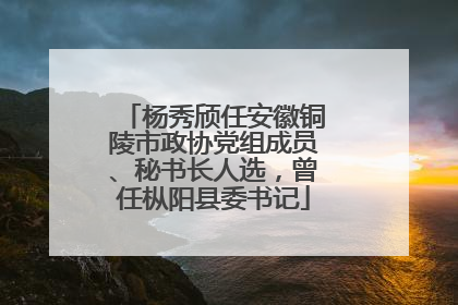 杨秀颀任安徽铜陵市政协党组成员、秘书长人选，曾任枞阳县委书记
