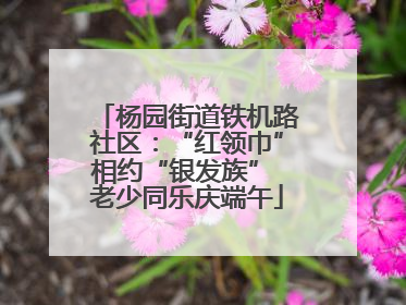 杨园街道铁机路社区：“红领巾”相约“银发族” 老少同乐庆端午