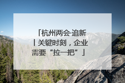 杭州两会·追新丨关键时刻，企业需要“拉一把”
