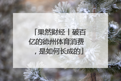 果然财经丨破百亿的德州体育消费，是如何长成的