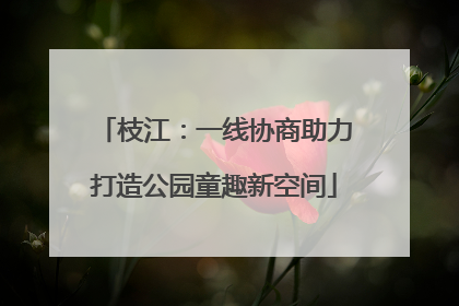 枝江：一线协商助力打造公园童趣新空间