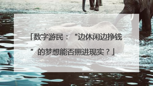 数字游民：“边休闲边挣钱”的梦想能否照进现实？