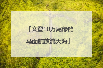 文登10万尾绿鳍马面鲀放流大海