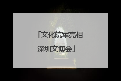 文化皖军亮相深圳文博会