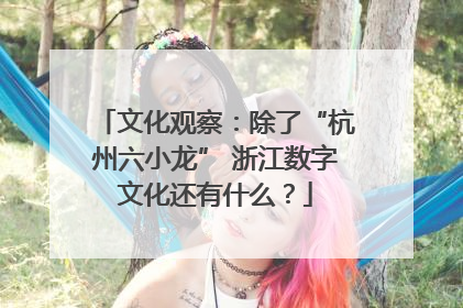 文化观察：除了“杭州六小龙” 浙江数字文化还有什么？