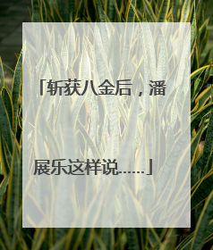 斩获八金后，潘展乐这样说……