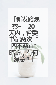 新发路观察+｜20天内，省委书记两次“四不两直”暗访，有何深意？