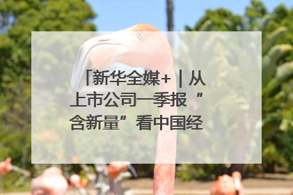 新华全媒+｜从上市公司一季报“含新量”看中国经济发展向“新”