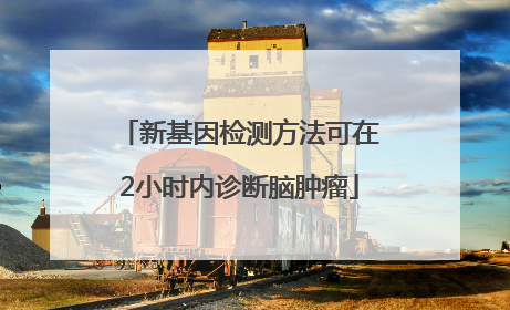 新基因检测方法可在2小时内诊断脑肿瘤