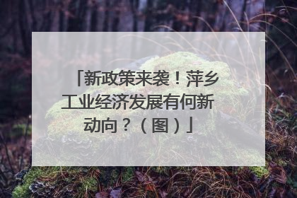 新政策来袭！萍乡工业经济发展有何新动向？（图）