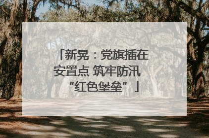 新晃：党旗插在安置点 筑牢防汛“红色堡垒”