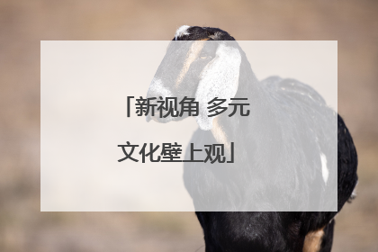 新视角 多元文化壁上观
