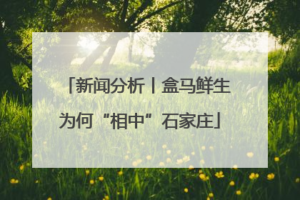 新闻分析丨盒马鲜生为何“相中”石家庄