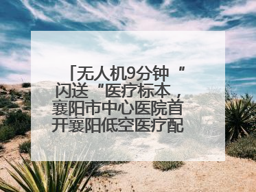 无人机9分钟“闪送“医疗标本，襄阳市中心医院首开襄阳低空医疗配送“空中快