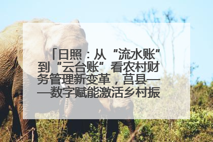 日照：从“流水账”到“云台账”看农村财务管理新变革，莒县——数字赋能激活乡村振兴“一池春水”