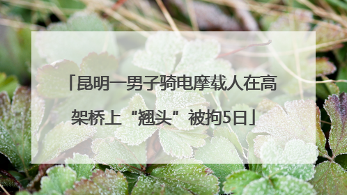 昆明一男子骑电摩载人在高架桥上“翘头”被拘5日