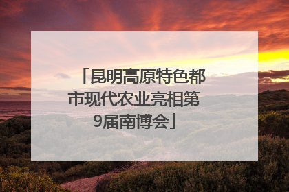 昆明高原特色都市现代农业亮相第9届南博会