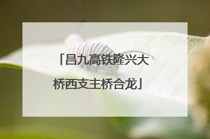 昌九高铁隆兴大桥西支主桥合龙