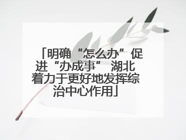 明确“怎么办”促进“办成事” 湖北着力于更好地发挥综治中心作用