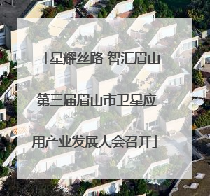 星耀丝路 智汇眉山 第三届眉山市卫星应用产业发展大会召开