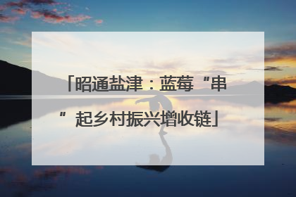 昭通盐津：蓝莓“串”起乡村振兴增收链