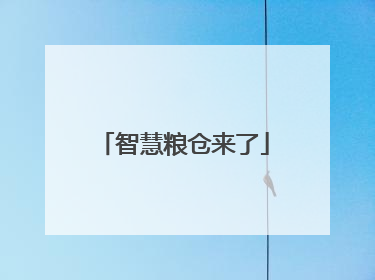 智慧粮仓来了