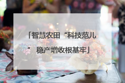 智慧农田“科技范儿” 稳产增收根基牢