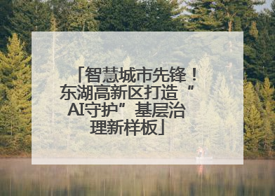 智慧城市先锋！东湖高新区打造“AI守护”基层治理新样板