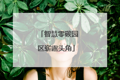 智慧零碳园区崭露头角