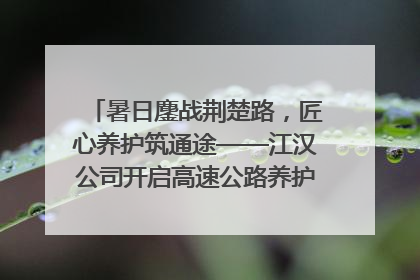 暑日鏖战荆楚路，匠心养护筑通途——江汉公司开启高速公路养护专项工程建设热潮