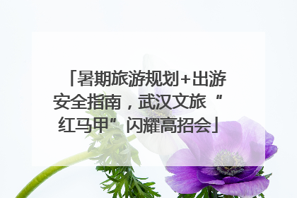 暑期旅游规划+出游安全指南，武汉文旅“红马甲”闪耀高招会