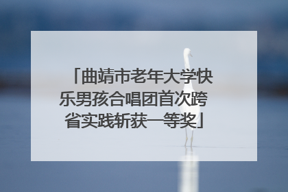 曲靖市老年大学快乐男孩合唱团首次跨省实践斩获一等奖
