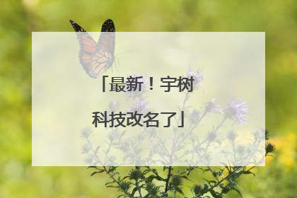 最新！宇树科技改名了