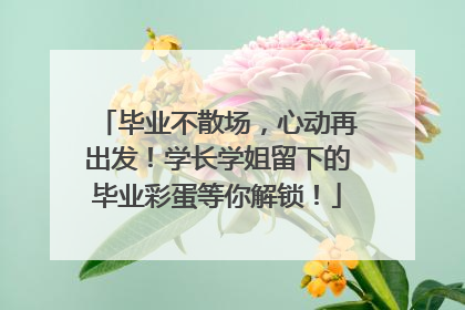 毕业不散场，心动再出发！学长学姐留下的毕业彩蛋等你解锁！