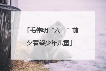 毛伟明“六一”前夕看望少年儿童