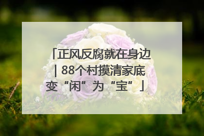 正风反腐就在身边｜88个村摸清家底变“闲”为“宝”
