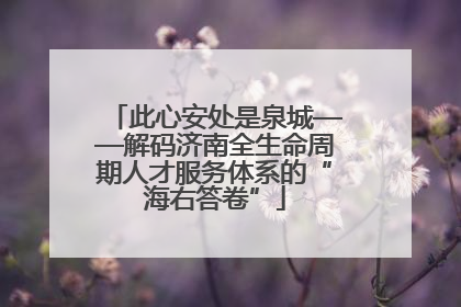 此心安处是泉城——解码济南全生命周期人才服务体系的“海右答卷”