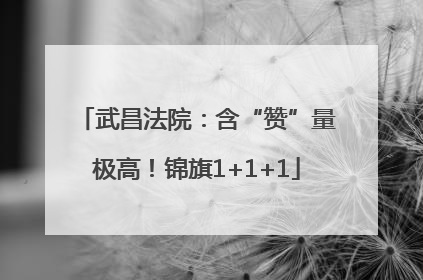 武昌法院：含“赞”量极高！锦旗1+1+1