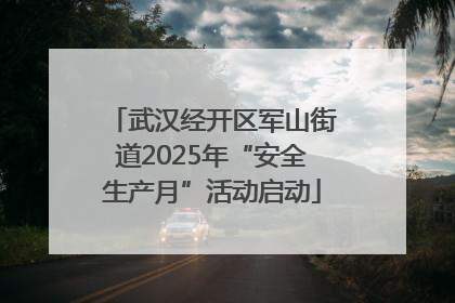 武汉经开区军山街道2025年“安全生产月”活动启动