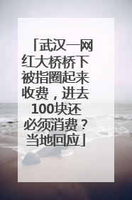 武汉一网红大桥桥下被指圈起来收费，进去100块还必须消费？当地回应