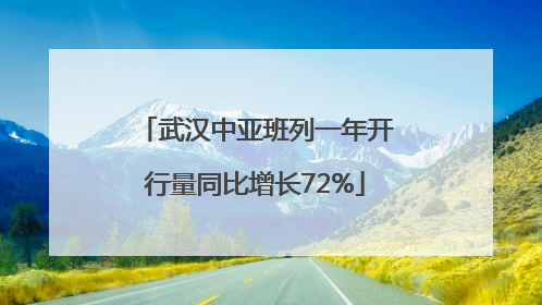 武汉中亚班列一年开行量同比增长72%