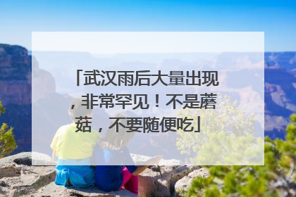 武汉雨后大量出现，非常罕见！不是蘑菇，不要随便吃