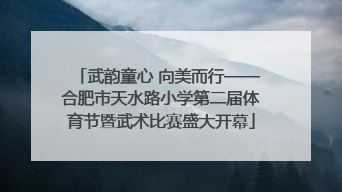 武韵童心 向美而行——合肥市天水路小学第二届体育节暨武术比赛盛大开幕