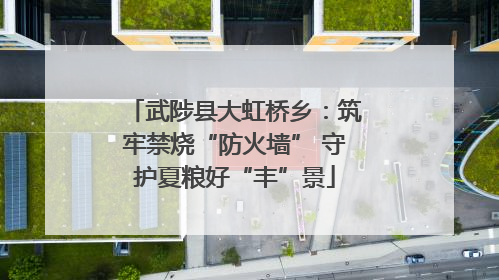 武陟县大虹桥乡：筑牢禁烧“防火墙” 守护夏粮好“丰”景