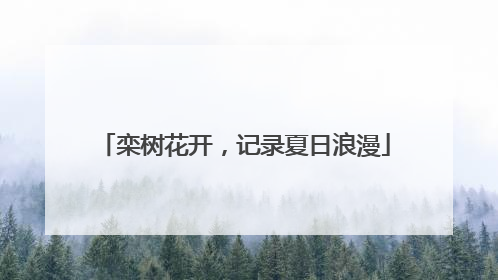 栾树花开，记录夏日浪漫
