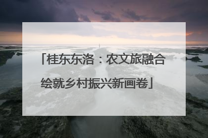 桂东东洛：农文旅融合绘就乡村振兴新画卷