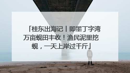 桂东出海记丨即墨丁字湾万亩蚬田丰收！渔民泥里挖蚬，一天上岸过千斤