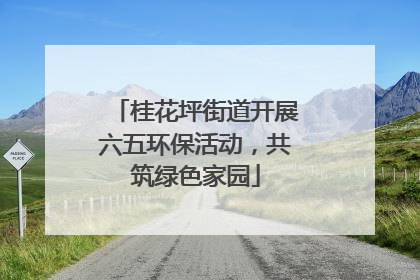 桂花坪街道开展六五环保活动，共筑绿色家园