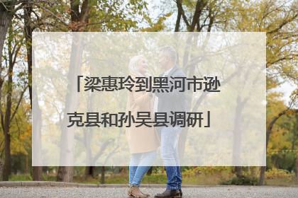 梁惠玲到黑河市逊克县和孙吴县调研