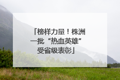 榜样力量！株洲一批“热血英雄”受省级表彰